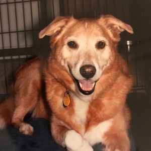 Meet your Posher, Kathryn